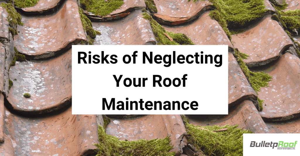 Risks of Neglecting Your Roof Maintenance