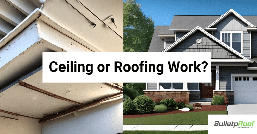 Ceiling or Roofing Work