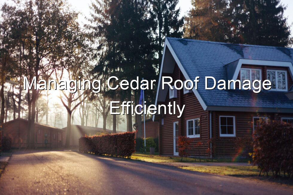 Managing Cedar Roof Damage Efficiently