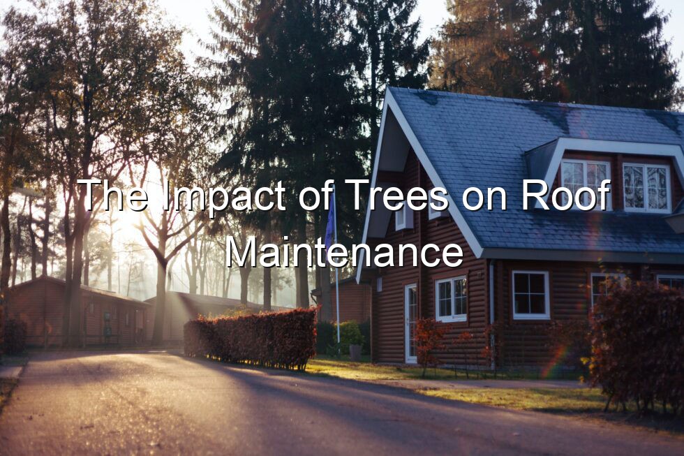 The Impact of Trees on Roof Maintenance